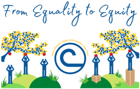 From Equality to Equity