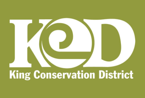 King CD logo - cropped