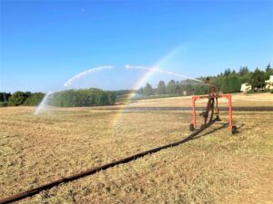 Irrigation Reel 6.30.21 min