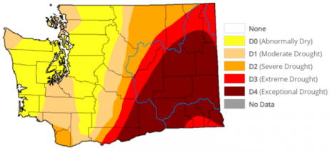 Washington Drought 072221 768x355 1