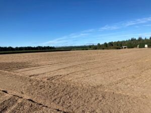 Fall seedbed prep 8.5.21