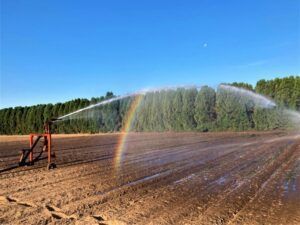 Irrigation Reel