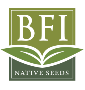 BFI logo