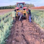 Photo of Lifting Plants