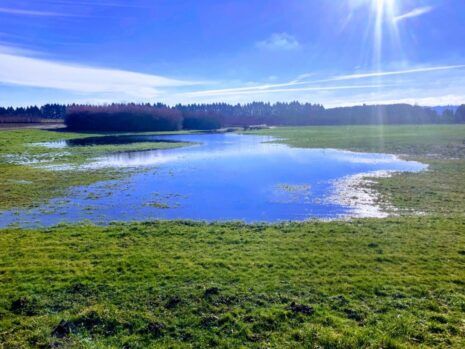 Photo of Field 1 flooding