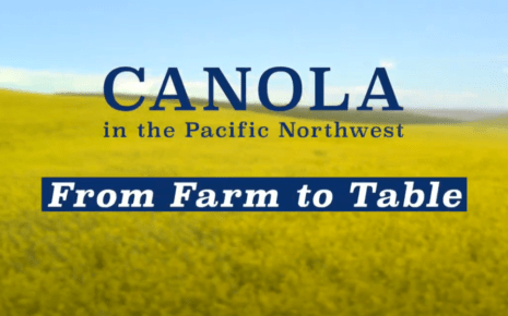 Canola PNW YouTube