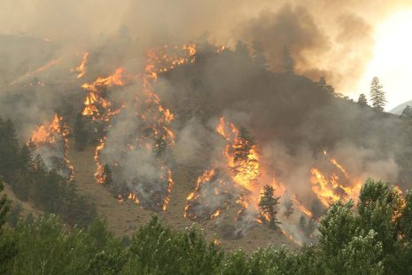 Moose Fire August 2 2022 in Montana. By Mike McMillan for the USFS 5