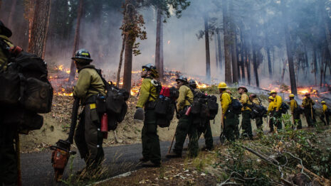 Usda Photo By Lance Cheung