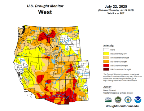 Drought Monitor Map July 2025